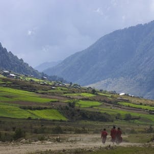 Monks walking through Phobji Valley